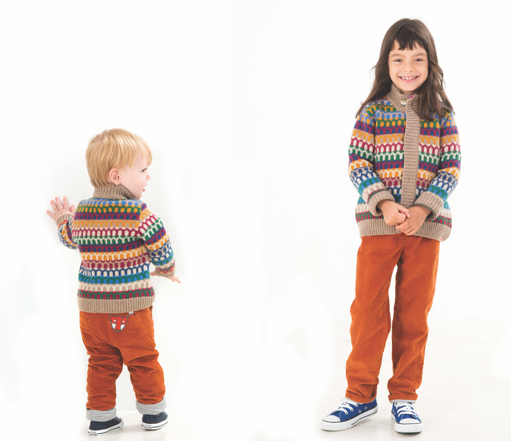 Lochnagar Chunky Knit Cardigan / Multi Coloured