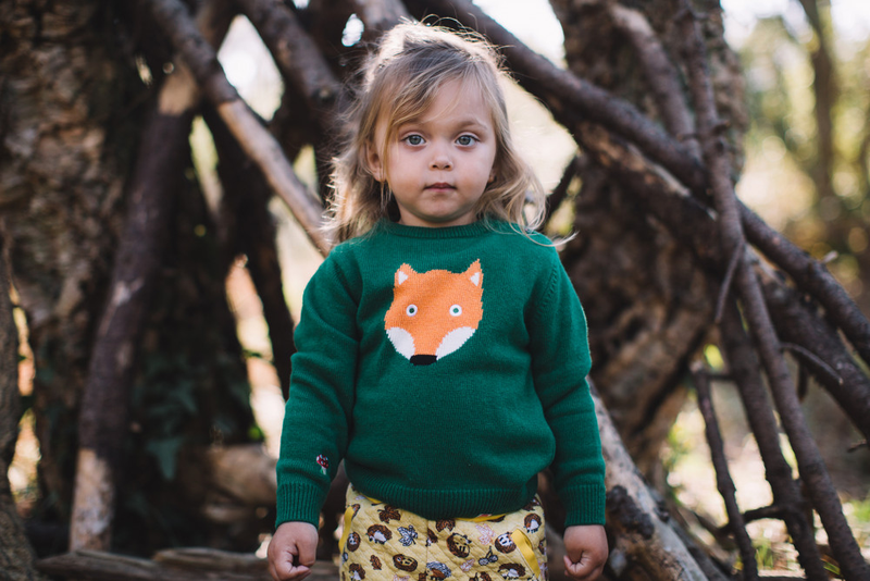 CLASSIQUE PULL RENARD pour bébé/Vert