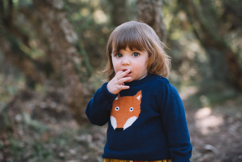 CLASSIQUE PULL RENARD pour bébé/Vert